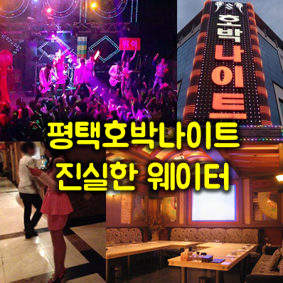 평택호박나이트 꾸준히 사랑받는 이유와 그 매력의 비밀